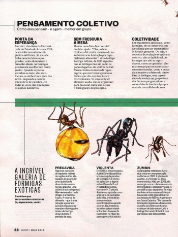 FormigasSuper-page-005